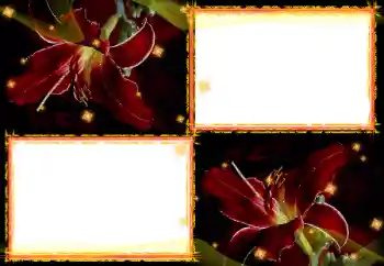 Photo Effect fra kategori Kvindelige fotorammer № 27702
