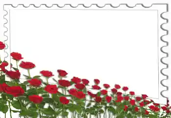 Photo Effect fra kategori Kvindelige fotorammer № 4162 Photo Effect fra kategori Kvindelige fotorammer № 4162