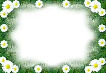 Photo Effect fra kategori Kvindelige fotorammer № 49443