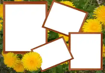 Photo Effect fra kategori Kvindelige fotorammer № 49448
