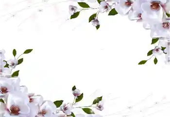 Photo Effect fra kategori Kvindelige fotorammer № 87722
